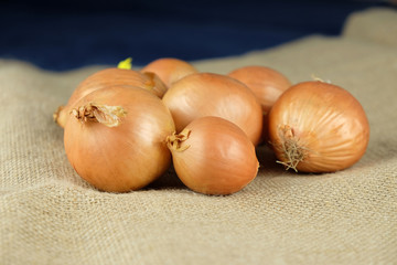 Rustic onion on burlap.