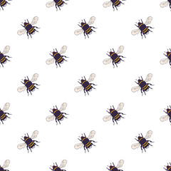 Vector bees set - seamless pattern. Hand drawn ink sketch with bumblebee insect. Wild animal drawing