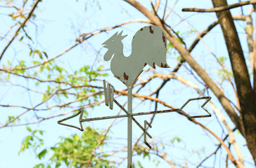 Rooster cock shaped weather vane against tree branch and blue sky, Thailand 