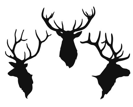 silhouettes of the buck's heads
