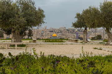 Panoramic view of  Jerusalem Old city and the Temple Mount, Dome of the Rock and Al Aqsa Mosque...