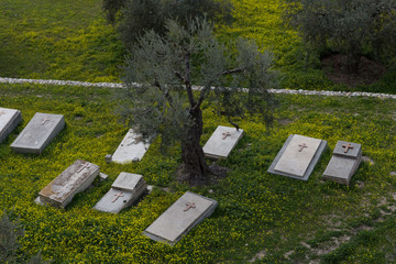 The old Christian cemetery near the St. Stephen's Church and the Church of All Nations in Jerusalem, Israel