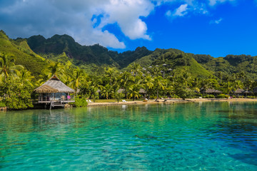 Island of Moorea in the French Polynesia with her exuberant vegetation, turquoise lagoon, bungalow and mountains. - obrazy, fototapety, plakaty
