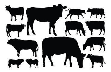 Male and female cow silhouette set colection