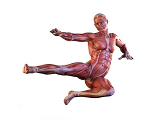 Muscle man anatomy in motion 3D Illustration