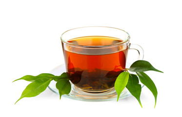 Cup of tea  and green leaves isolated on white