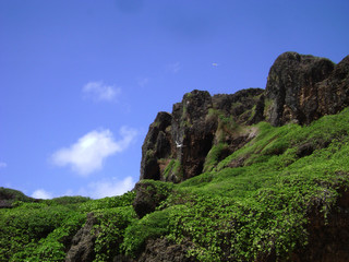 Fototapeta na wymiar Rota cliff sides Artistic cliff formations in Rota, Northern Mariana Islands are an added attraction to the island.