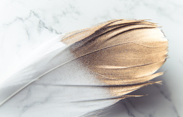 Easter decorations in the style of minimalism with with a gold feather © Una