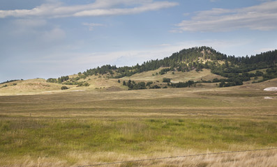 Obraz premium Hills and pine trees in the Black Hills of South Dakota