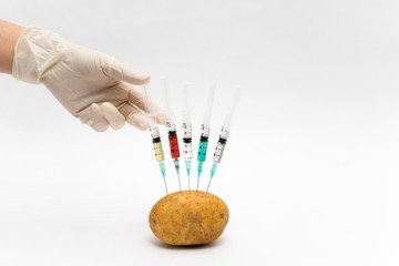 GMO experiment scientist injecting liquid into potato on white background