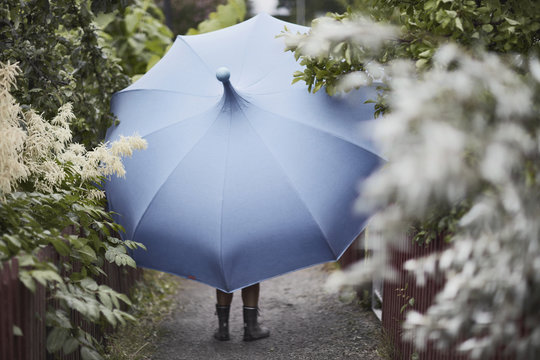 Sweden, Sodermanland, Woman with umbrella walking in garden