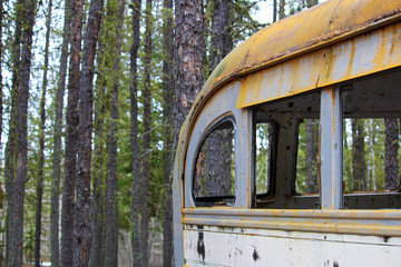 Stripped abandoned bus at a hunters camp on crown land