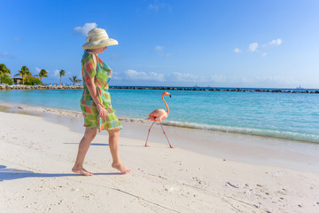 Flamingo beach. Aruba