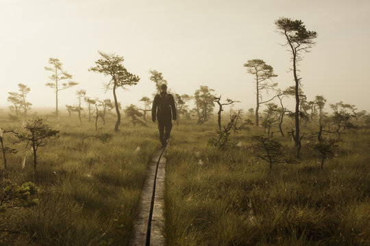 Sweden, Smaland, Man walking through Store Mosse National Park