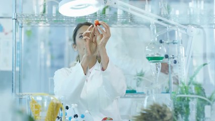 Food science researchers working in lab, woman injecting chemicals into fruit - Powered by Adobe