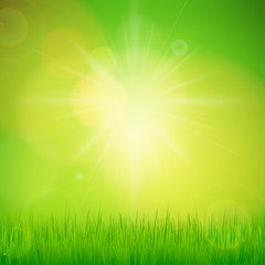 Fototapeta na wymiar Vector natural green background with sun and grass.