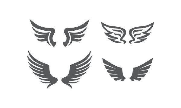 Wing Pair Collection