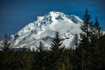 Mountain through the trees