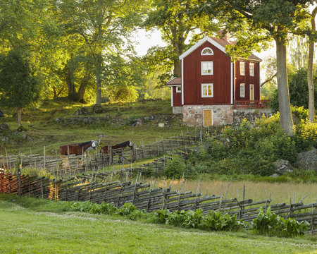 Sweden, Smaland, Stensjo, Rural scene with horses and wooden house on hill among trees
