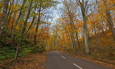 Naklejka premium Autumn color season at Towada, Japan.