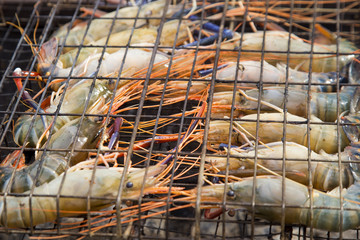 grilled prawn
