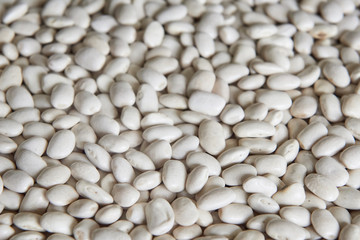 Ecological white beans