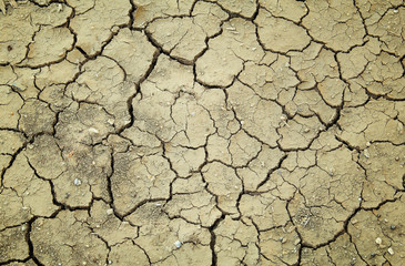 Dry and cracked earth for background
