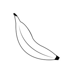 banana fruit icon over white background. vector illustration