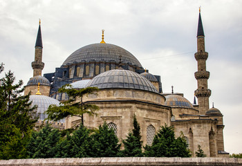 Fototapeta na wymiar Mosque In Instanbul, Turkey