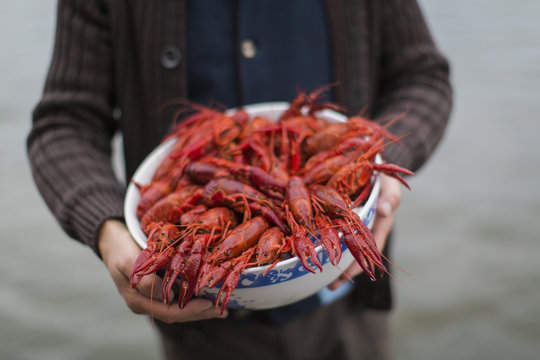 Sweden, Mid section of man holding bowl of crayfish (Astacidae)