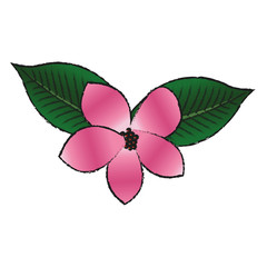 tropical flower icon over white background. vector illustration