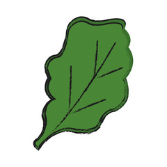 leaf icon over white background. vector illustration