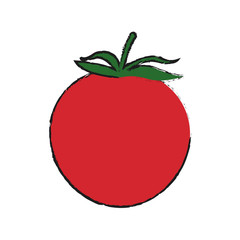 tomato vegetable icon over white background. vector illustration