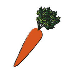 carrot vegetable icon over white background. vector illustration