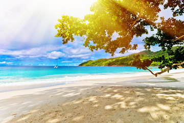 Photo of a tropical beach on the sunny day