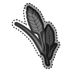 rice plant isolated icon