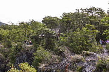 Fototapeta na wymiar Vicente Perez Rosales National Park, Chile
