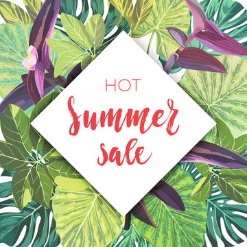 Summer tropical sale design with palm leaves and exotic plants. Jungle vector floral template.