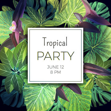 Summer tropical party flyer template with palm leaves and exotic purple flowers. Vector floral background.