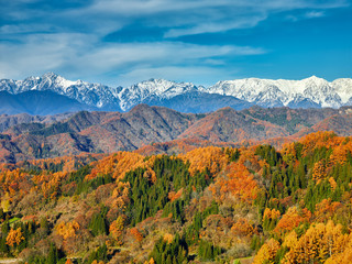 長野県小川村の雪山と三段紅葉