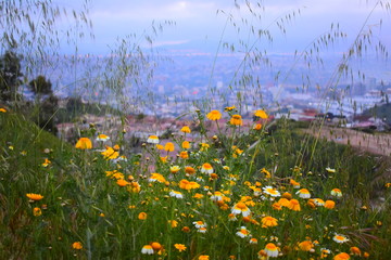 ciudad