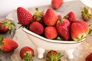 Frisch gepflückte Erdbeeren in einer kleinen Badewanne