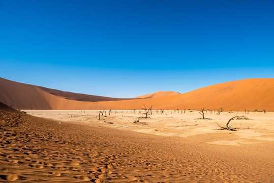 Dead Camelthorn Trees and red dunes in Deadvlei, Sossusvlei, Namib-Naukluft National Park, Namibia