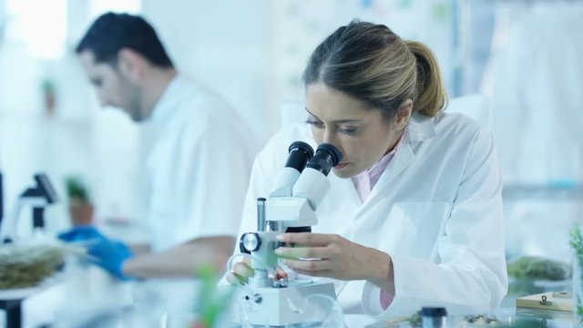 Scientific researchers in laboratory, woman analyzing sample under microscope