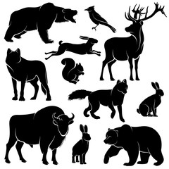 Vector forest animals for wood design. Zoology collection