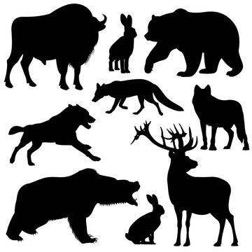 Black vector outline wild forest animals silhouettes