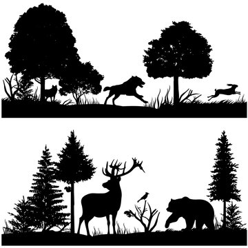 Wild animals silhouettes in green fir forest vector illustration