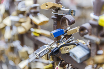 Obraz premium The locks of love hung for the fence.Italy.Florence