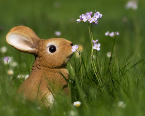 Easter bunny in the spring meadow
