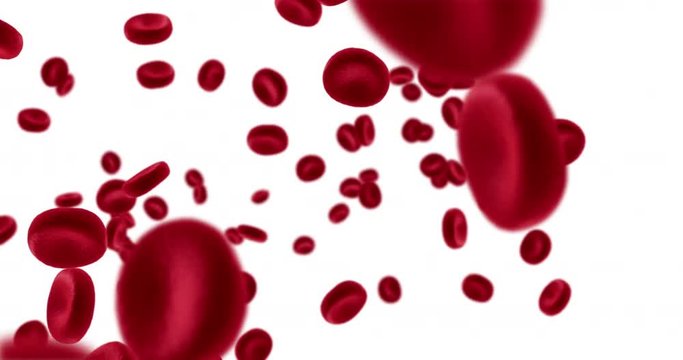 3D rendering animation red blood cells in an artery, flow inside body, medical human health-care on white background
